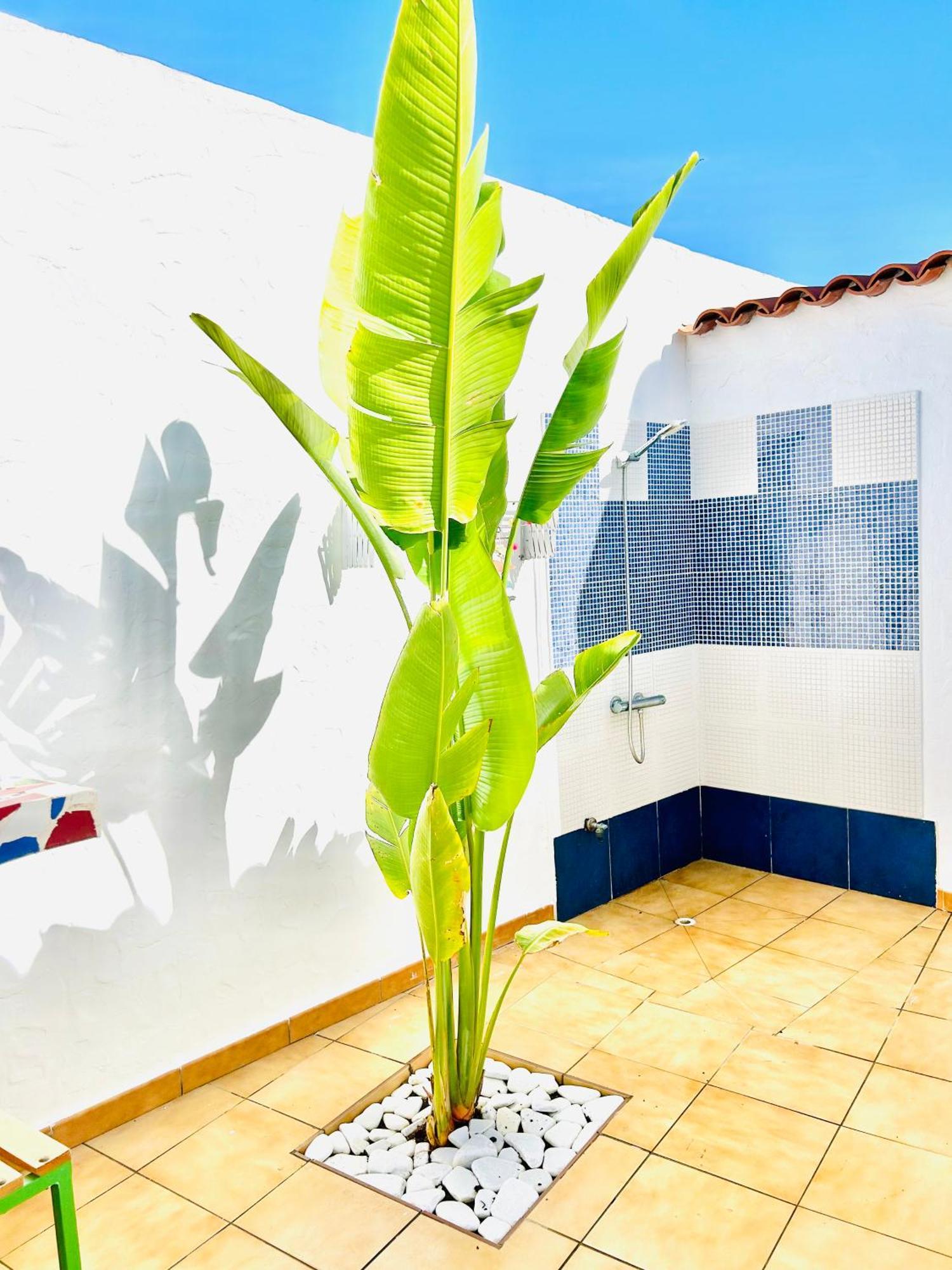 Oasis Beach Holiday Home With Jacuzzi Playa del Inglés Exteriör bild
